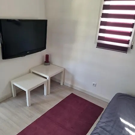 Chalet Aloe Vera *